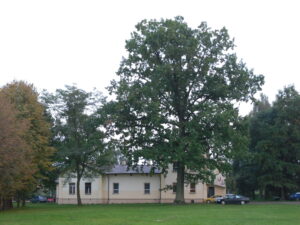 http://www.wikidata.org/entity/Q991912