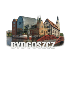 Alternative view of Bydgosz - kolaż - T-shirt