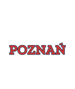 Alternative view of Poznań - Bluza