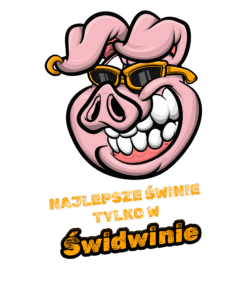 Alternative view of Najlepsze świnie tylko w Świdwinie - T-shirt