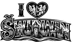 Alternative view of I LOVE ŚWIDWIN - Koszulka damska