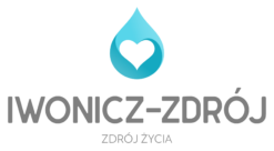 Alternative view of Iwonicz Zdrój Życia - T-shirt