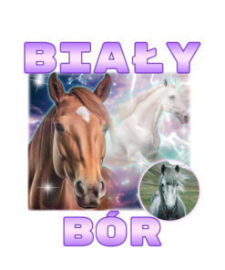 Alternative view of Biały Bór Horse - T-shirt