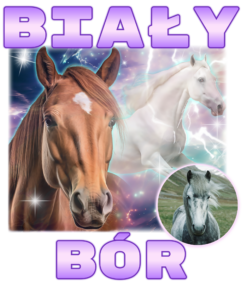 Alternative view of Biały Bór Horse - T-shirt