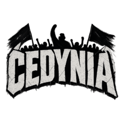 Alternative view of Cedynia Hools - T-shirt