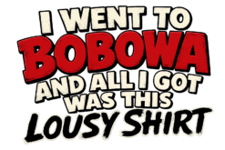 Alternative view of I went to Bobowa - T-shirt