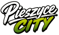 Alternative view of Pieszyce City - Bluza