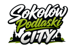 Alternative view of Sokołów Podlaski City - Bluza