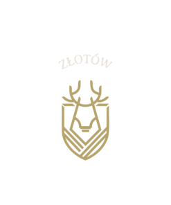 Alternative view of Złotów Deer - T-shirt