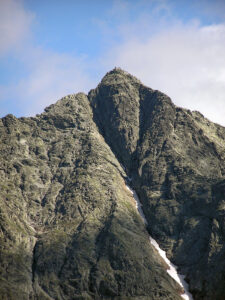 https://www.wikidata.org/wiki/Q672936