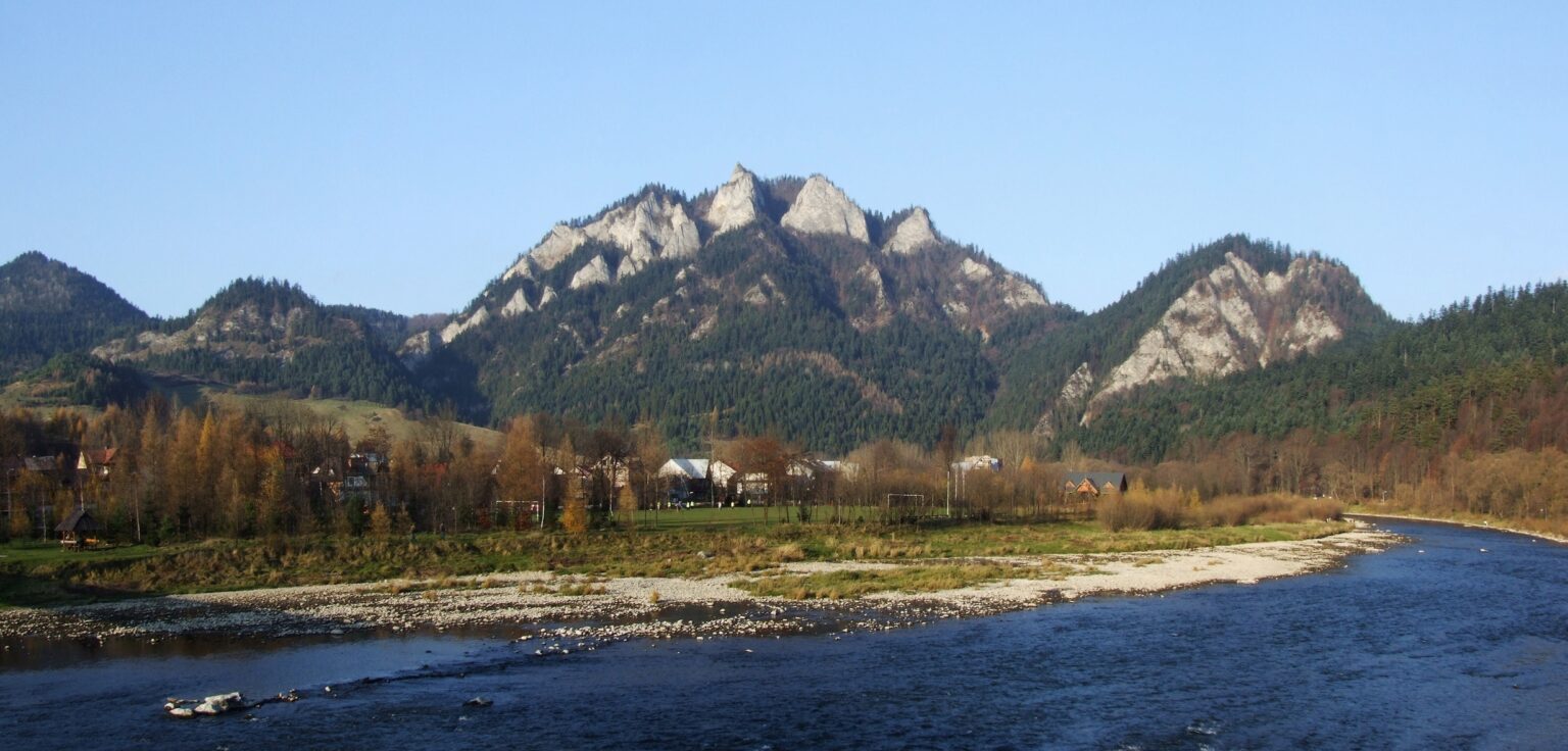 https://www.wikidata.org/wiki/Q677415