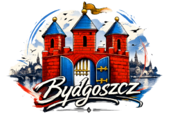 Alternative view of Bydgoszcz - Herb alternatywny - T-shirt