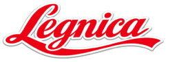 Alternative view of Enjoy Legnica - T-shirt