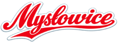 Alternative view of Enjoy Mysłowice - T-shirt
