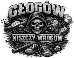 Alternative view of Głogów Niszczy Wrogów - T-shirt