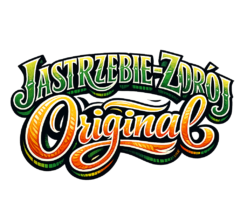 Alternative view of Jastrzębie-Zdrój Original - T-shirt