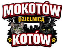 Alternative view of Mokotów Dzielnica Kotów - T-shirt