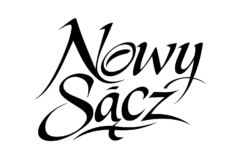 Alternative view of Nowy Sącz Caligraphy - T-shirt