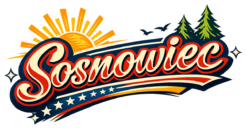 Alternative view of Sosnowiec Star - Bluza