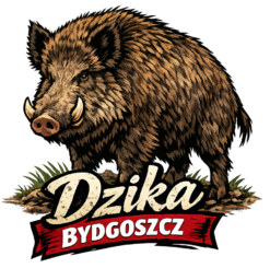 Alternative view of Dzika Bydgoszcz - T-shirt