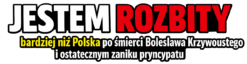 Alternative view of Jestem rozbity - T-shirt
