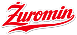 Alternative view of Enjoy Żuromin - Koszulka damska