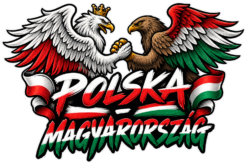 Alternative view of Polish-Hungarian Eagle Friendship - Koszulka damska
