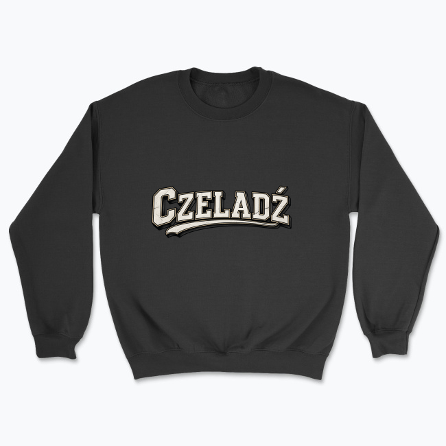 Czeladź College - Bluza