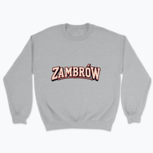Distressed Zambrów Varsity - Bluza