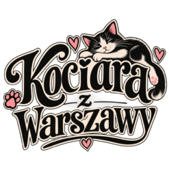 Alternative view of Kociara z Warszaw - Koszulka damska