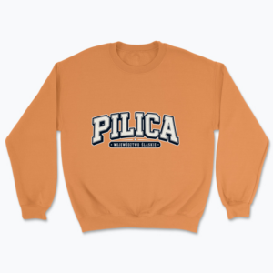 PILICA Śląskie - Bluza