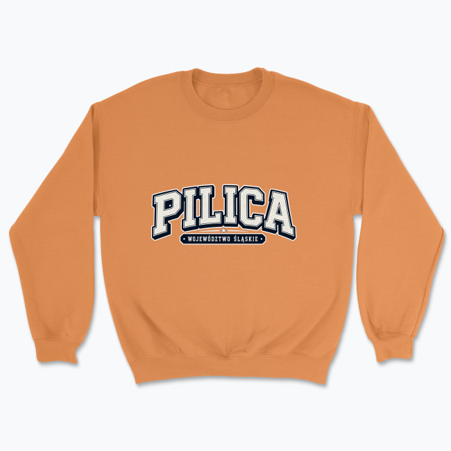 PILICA Śląskie - Bluza